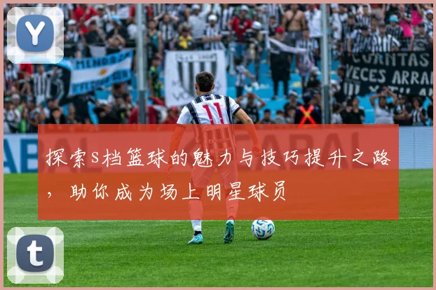 探索s档篮球的魅力与技巧提升之路，助你成为场上明星球员
