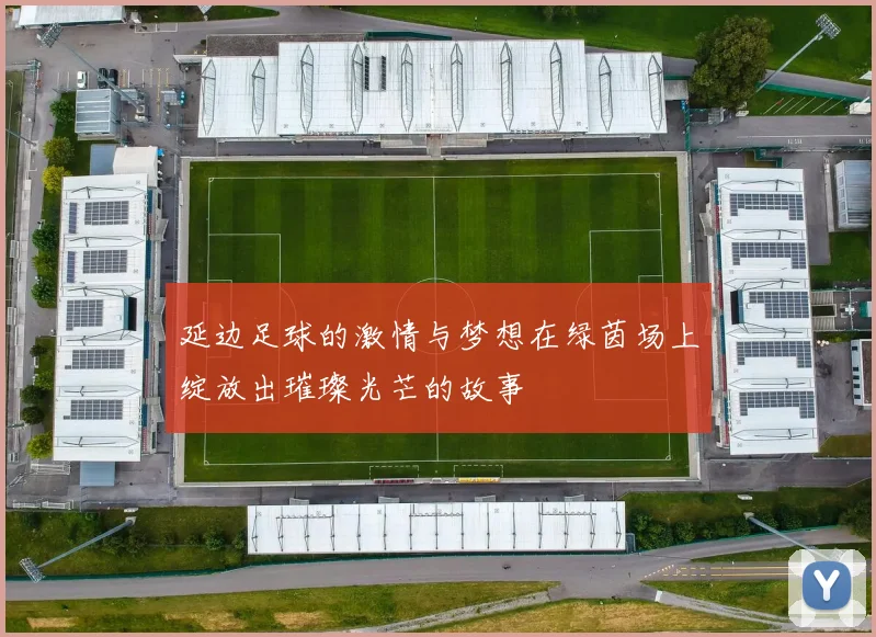 延边足球的激情与梦想在绿茵场上绽放出璀璨光芒的故事