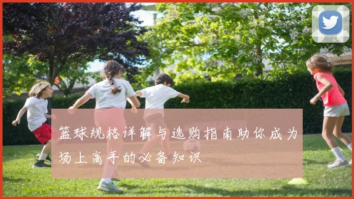 篮球规格详解与选购指南助你成为场上高手的必备知识