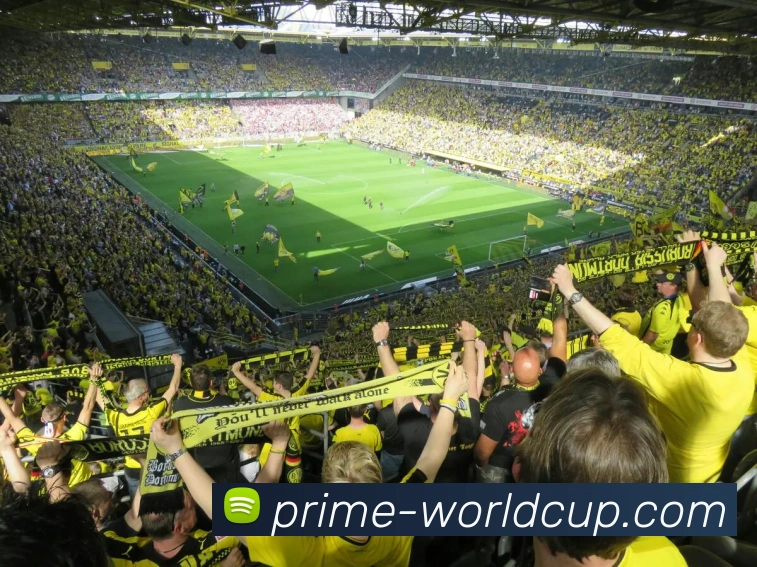 世界杯发展历程